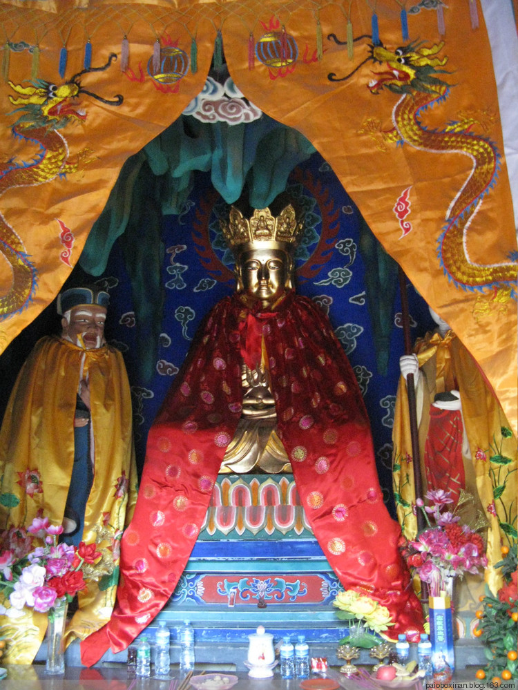 bsports必一体育:龙之队Fleta荣获“体育星势力”年度人气竞技选手(图1) bsports必一体育