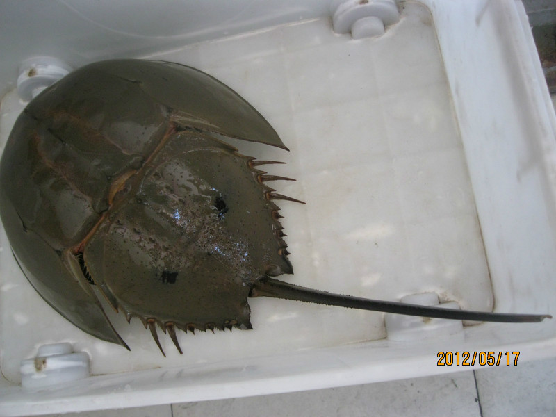 必一运动官网_淅川县毛堂幼儿园隆重召开“感恩成长梦想启航”毕业典礼(图1) 必一运动bsport体育