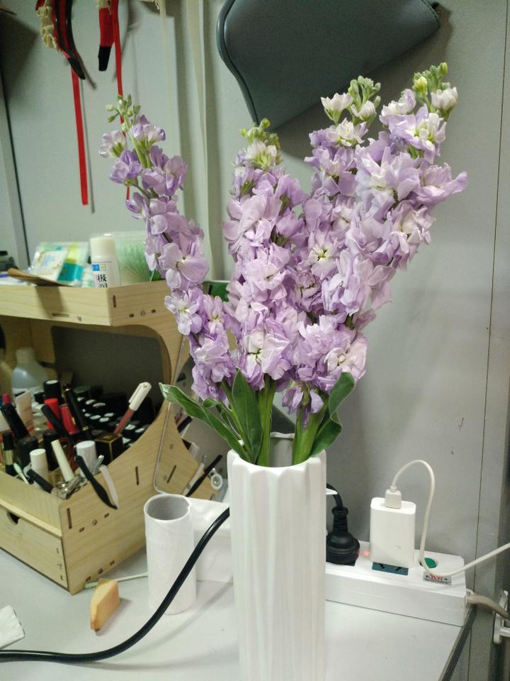 “bsports必一体育”LOL:LPL线上赛即将开打,Doinb透露训练赛胜率!(图2) 必一运动bsport体育