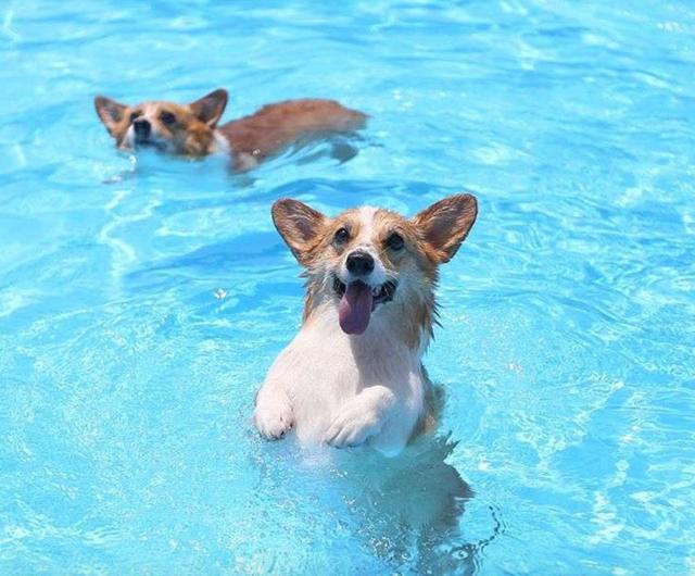 必一运动bsport体育