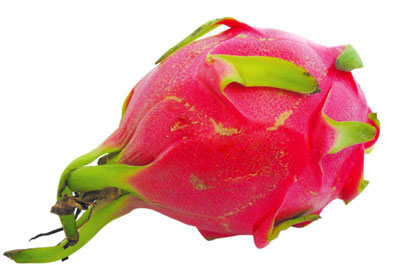 必一运动bsport体育