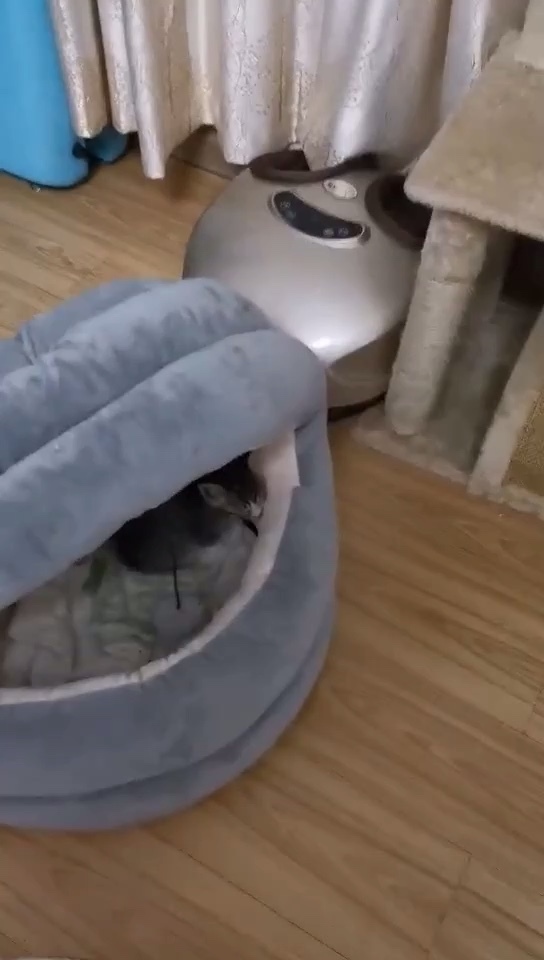 怎样的教育风格决定怎样的孩子|必一运动bsport体育(图3) bsports必一体育