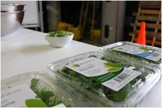 bsports必一体育-
农场治理、智慧农业、微生物学？——探秘奥本大学暑期全英文课程(图5)