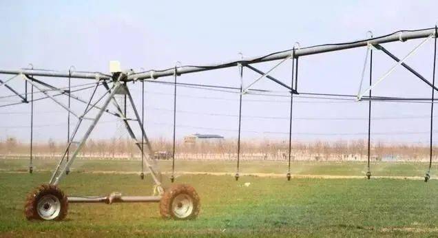 bsports必一体育-
农场治理、智慧农业、微生物学？——探秘奥本大学暑期全英文课程(图7)