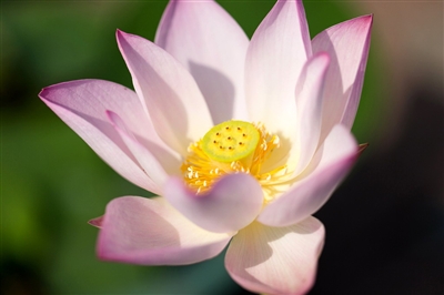 bsports必一体育:《使命召唤14:二战》 秘密任务 穿上纳粹服伪装(图3) 必一运动官网